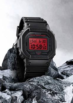 DW-5600BBR-1