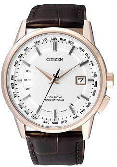 CB0153-21A